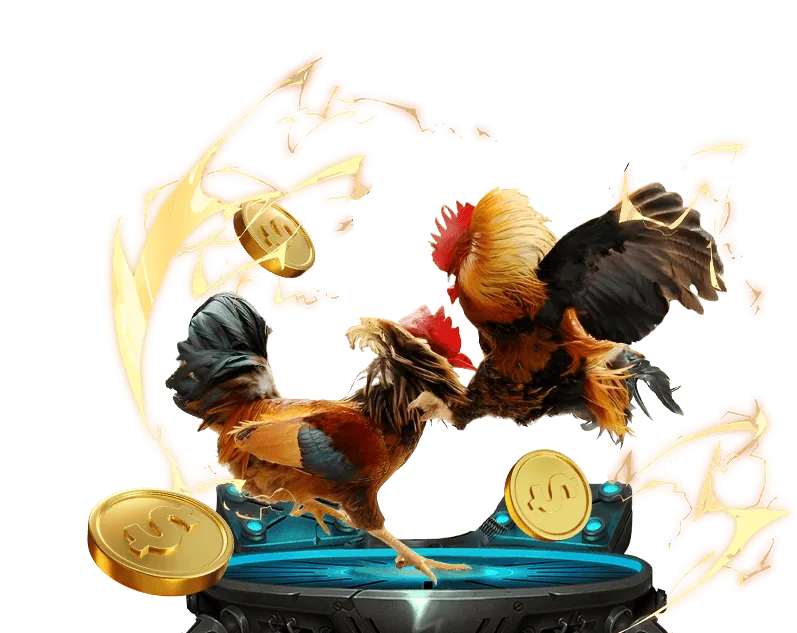 Tổng quan về đá gà trực tuyến New88